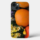 Buscar calabaza ipad fundas Surtido