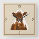 Buscar vacas marrones posters Animal