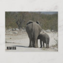 Buscar jumbo postales Naturaleza
