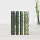 Buscar tucson tarjetas Cactus