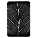 Buscar hoja hermosa imanes Naturaleza