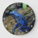 Buscar anfibios relojes de pared Naturaleza