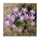 Buscar cruz azulejos Diseño