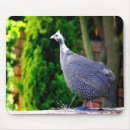 Buscar casco alfombrillas de raton Animales