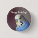 Buscar parakeet accesorios Budgie