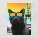 Buscar gafas de sol postales Felino