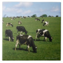 Buscar agricultura azulejos Horizontal