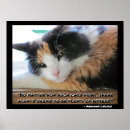 Buscar ojos de gatos posters Gatitos