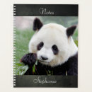 Buscar panda gigante fotografía Lindo
