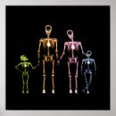 Buscar radiología arte Familia