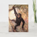 Buscar chimpancé tarjetas Monos