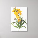 Buscar redoute lienzos Joseph