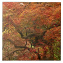 Buscar acer azulejos Color