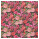 Buscar rosas telas Abstracto