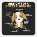 Buscar cocker spaniel pegatinas Cachorro