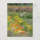 Buscar estampado de flores postales General y unisex