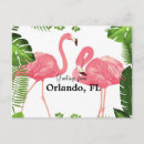 Buscar flamencos rosados postales Tropical