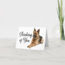 Buscar perro pastor alemán tarjetas Cachorro