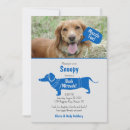 Buscar perros divertidos invitaciones Azul