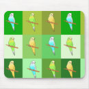 Buscar parakeet electronica Verde