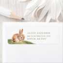 Buscar conejito etiquetas Acuarela