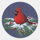 Buscar cardenal rojo pegatinas Fauna