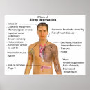Buscar diagrama del cuerpo posters Biología