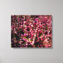 Buscar flores bonitas lienzos Rosa
