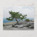 Buscar de piedra postales Naturaleza