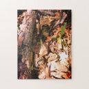 Buscar seta puzzles Hojas