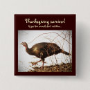 Buscar turquia chapas Animales