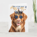 Buscar scotia tarjetas Perros