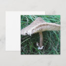 Buscar aluminio puzzles Naturaleza