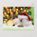 Buscar ornamento postales Navidades