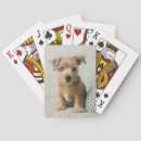 Buscar bebé barajas de cartas Animal