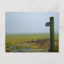 Buscar de niebla postales Mañana