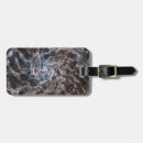 Buscar siniestro accesorios Web