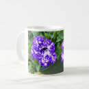 Buscar petunia tazas Morado