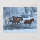 Buscar escondite postales Invierno