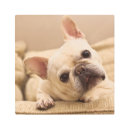 Buscar french bulldog arte Domestic animals