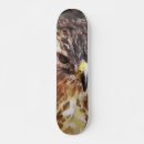 Buscar halcón tablas de skate Naturaleza