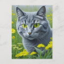 Buscar gato gris y blanco postales Ojos amarillos