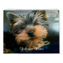 Buscar terrier de yorkshire calendarios Yorkie
