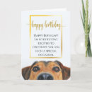 Buscar nuevo perro tarjetas Divertido
