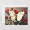 Buscar mariposas rosas postales General y unisex