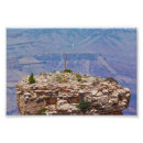 Buscar yuca posters Parque nacional