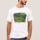 Buscar kyoto camisetas Rob tilley