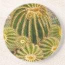 Buscar seco piedra Naturaleza