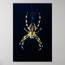 Buscar arácnidos arte Insecto