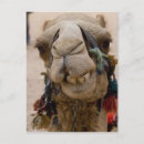 Buscar borla postales Sonrisa